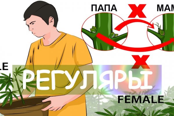 Что за маркетплейс кракен